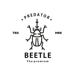 vintage retro hipster beetle logo vector outline monoline art icon