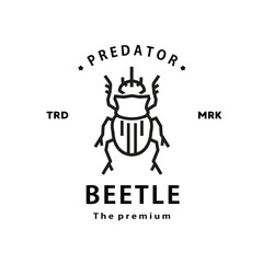 vintage retro hipster beetle logo vector outline monoline art icon