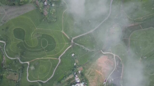 drone footage hill said of tea plantations in Sri Lanka kotagala village area