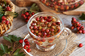 Herbal tea made of fresh hawthorn berries in autumn