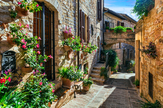 Italy Umbria Spello floral street traditional village stone alley with flowers. Charming medieval town architecture. Historic Italian borgo travel wall art