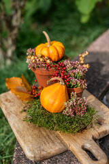 Natürliche Dekoration im Herbst mit kleinen Kürbissen rustikal gestaltet, Herbstdeko, natürlich dekorieren