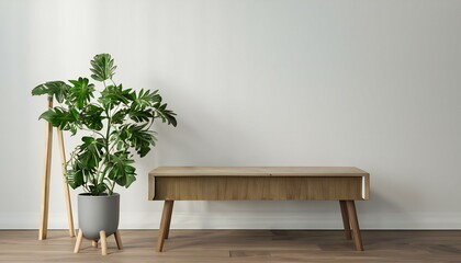 indoor plant pot tropical in blank wall background  in the table