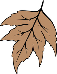 Simple Autumn Leaves Illustration