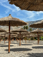  straw beach umbrellas in rows on the beach