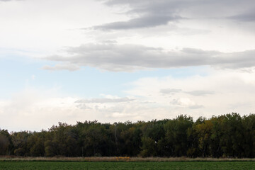 Clouds Over Beautiful Orchard