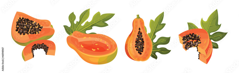 Poster Papaya Fruit with Seeds and Orange Flesh Vector Set