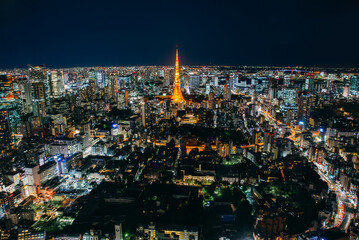 Tokyo skyline and buildings from above, view of the Tokyo tower