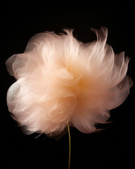 gold glistening light fluffy cotton candy being spun on dark