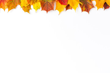 Colourful autumn leaves isolated on white background with copyspace. Fall concept. Top view
