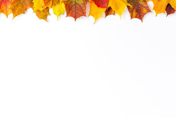 Fototapeta premium Colourful autumn leaves isolated on white background with copyspace. Fall concept. Top view
