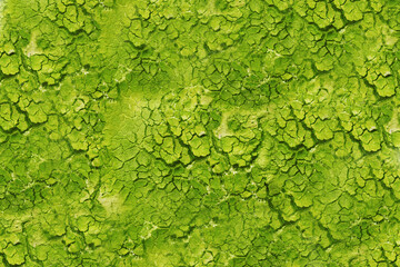 Surface of old green peeling paint close-up. Texture for design.