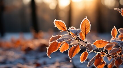 Beautiful branch with orange and yellow leaves in late fall or early winter under the snow. First snow, snow flakes fall, gentle blurred romantic light blue background - obrazy, fototapety, plakaty