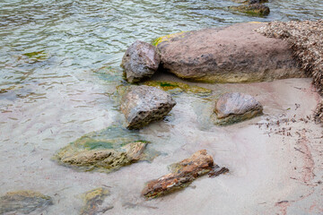 stones on the coast covered with seaweed and moss