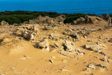 Photograph of the limestone features in the historic Calcified Forest on King Island in Bass Strait in Tasmania in Australia