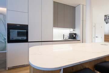 Modern kitchen with built in appliances