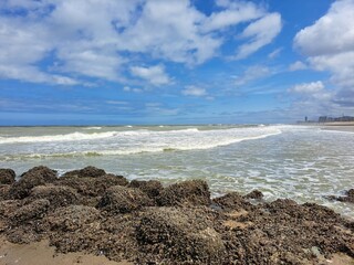 The sea coast in Belgium in the summer, a stone bank on the seashore.
