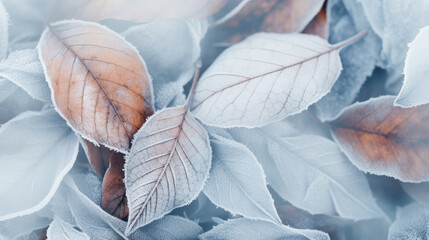 Detailed closeup of frozen winter leaves, creating a captivating winter background.