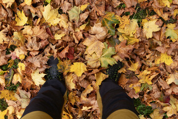 my two feet firmly planted in fall-colored leaves. Both shoes and trousers match the autumn colours