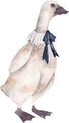 Watercolor Fairy tale cute animals. Vintage cat, rabbit, goose, isolated om transparent background. PNG files