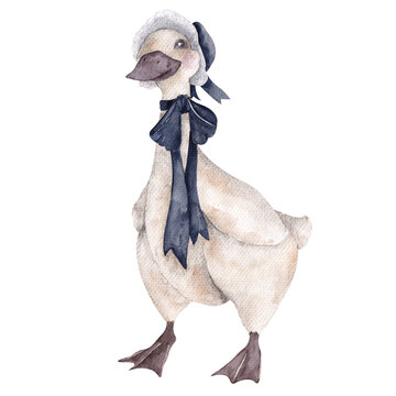 recommend clip art: Watercolor Fairy tale cute animals. Vintage cat, rabbit, goose, isolated om transparent background. PNG files