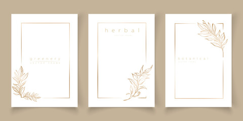 Set of frame templates in minimal linear style with hand drawn branches and leaves. Elegant frame. Botanical vector illustration for labels, corporate identity, wedding invitation, logo, save the date