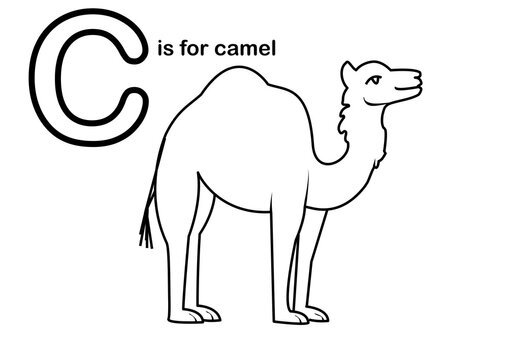 Camel school coloring alphabet worksheet