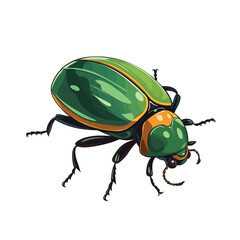 Hand Drawn Flat Color June Bug Illustration