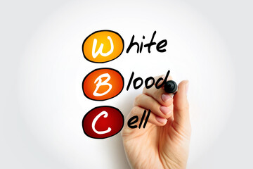 WBC White Blood Cell - cellular component of blood that helps defend the body against infection, acronym text concept background