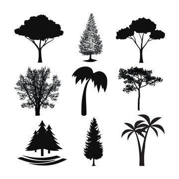 Forest trees silhouette vector illustration on a white background.