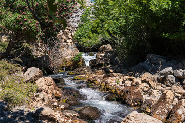 Naklejka na ściany i meble Valley of Krupa river near the karst spring