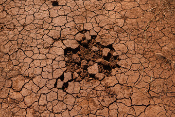Detail of soil erosion during heavy drought