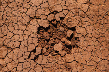 Detail of soil erosion during heavy drought