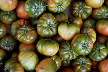 top view raw gourmet tomatoes in bulk