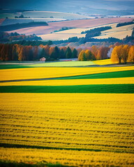Wheat Field Autumn Landscape