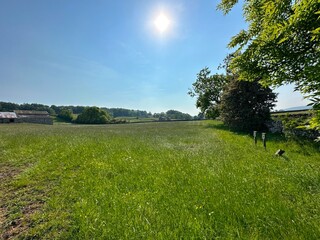 Late afternoon glow, with a large field, wild flowers, trees, hills, and a hazy sky in, Bainbridge, UK