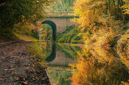 bridge over the river