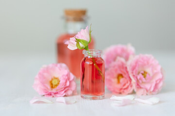 Concept of perfume with pure natural organic rose ingredient, essential oils. Glass bottles with flower herbal extract and elixir. Perfumery cosmetic toilet water fragrance, cream, skin care product