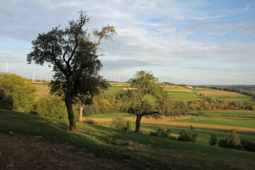 Panorama von Etteln mit Umland der Gemeinde Borchen innerhalb des Kreises Paderborn