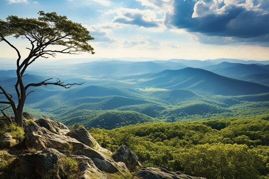 Scenic View Of Mountains From Overlook In Shenandoah National Park, Virginia, USA. Generative AI