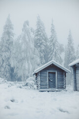 Blue house in frozen winter with snow.jpg