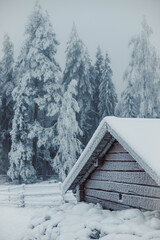Frozen roof covered in snow and trees in background in winter.jpg