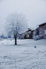 frozen street in Lapland with buildings and a tree vertical.jpg