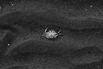 A shell of its former self.