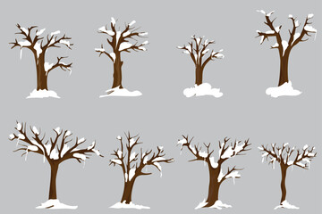 set of trees with snow on their branches in winter season