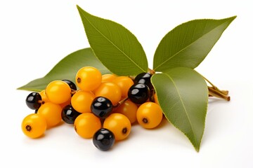 Fresh maritime buckthorn berry and leaves on a white background. Generative AI