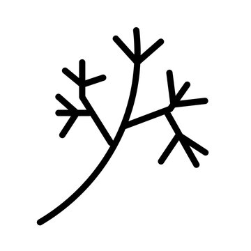 Cuisine Dill Herbs Icon