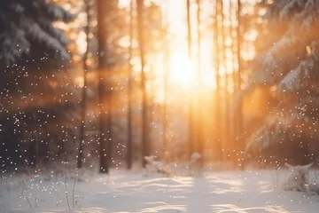 Foto op Plexiglas Blurred winter forest with sunshine background © Enigma