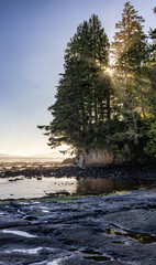Rocky Shore on the Pacific Ocean Coast. Sunny Sunset. Botanical Beach, Port Renfrew, Vancouver Island, BC, Canada. Nature Background