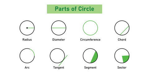 Parts of circle. Circles for kids. Radius, Diameter, Circumference, Chord, Arc, Tangent, Segment and sector. Mathematics resources for teachers and students.